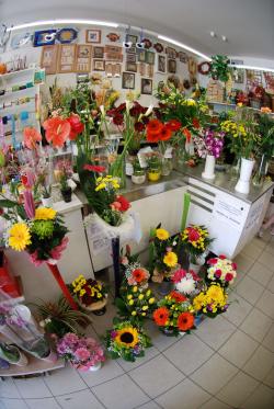 květiny Hořovice - v ulici Masarykove - interiér